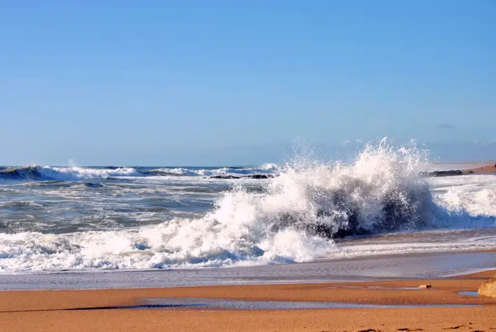 plage paracou